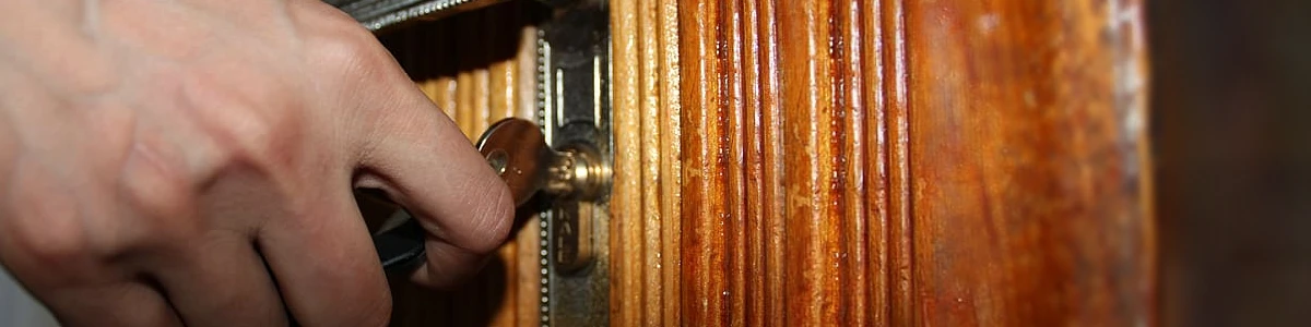 Antique Brass Door Handle