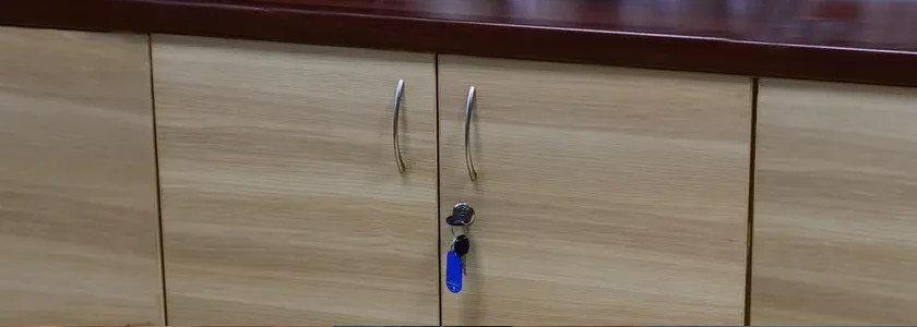 Cabinet Door Locks Changed